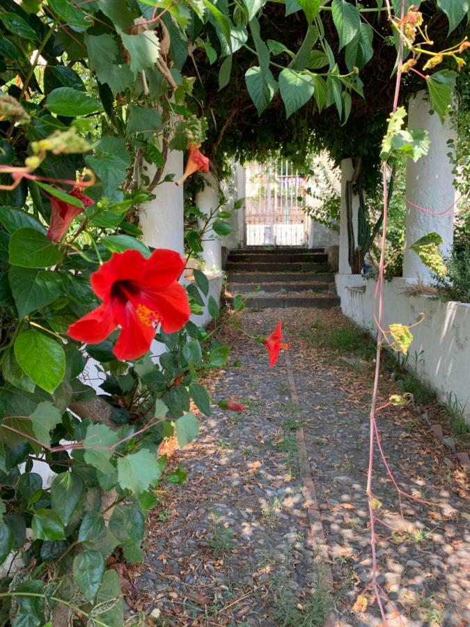 Casa Diana Arianna Apartment Lipari  Exterior foto